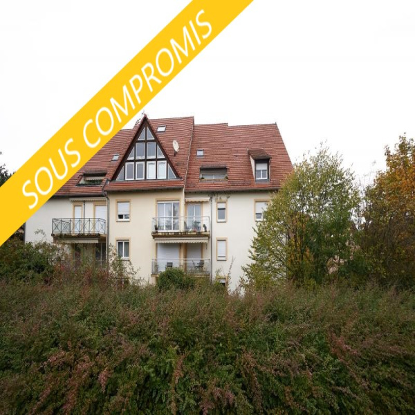 Offres de vente Duplex Saverne 67700